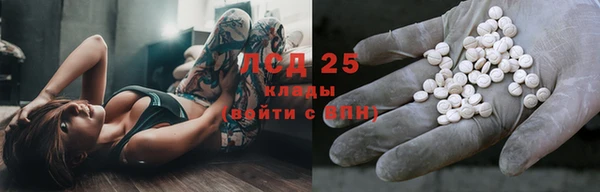 стаф Алзамай