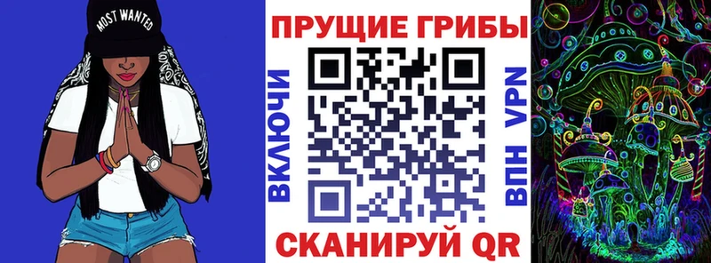 Псилоцибиновые грибы ЛСД  сайты даркнета официальный сайт  Астрахань 